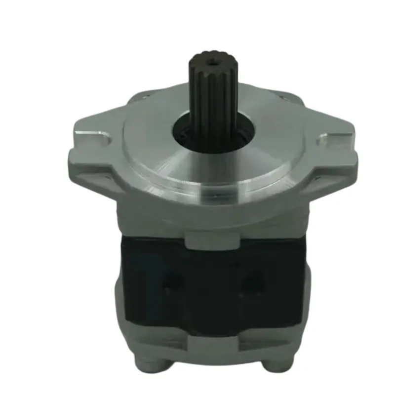 [HYDROGEN]H2シンボルにボルケプ SGP1 SGP2 SGP2B-F Series High Pressure Hydraulic Gear Pump
