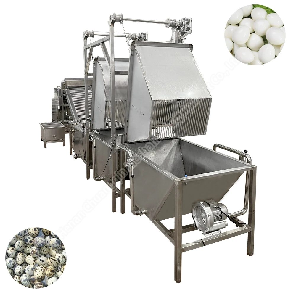 Оборудование Для Переработки Перепелиных Яиц - Buy Soft Boiled Quail Eggs  Peeling Line,Machine For Peeling Quail Egg,Quail Egg Peeler Product on  Alibaba.com