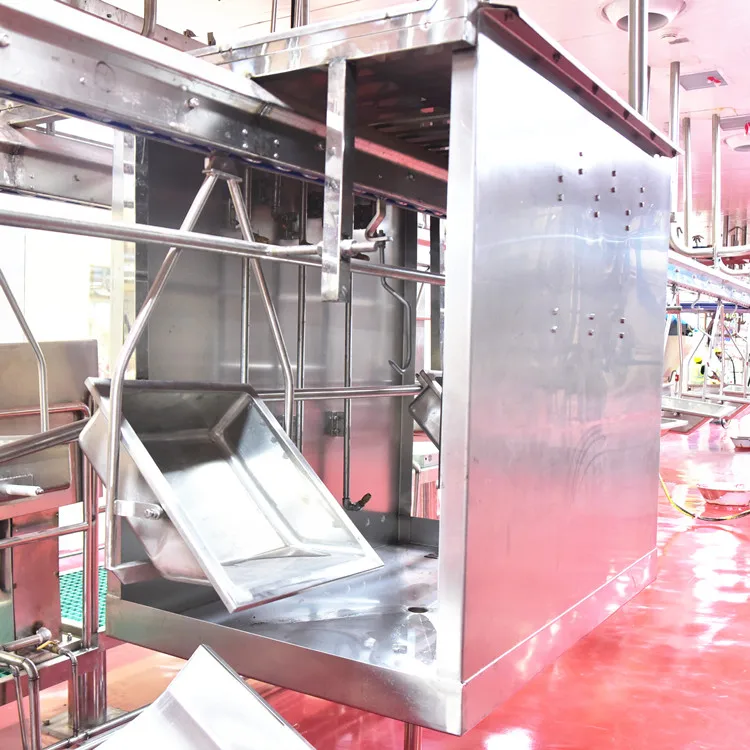 Small ruminant mutton sheep slaughterhouse