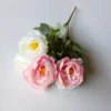 Rosa chiaro