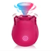 Regular suction rose red