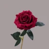 Dark Red