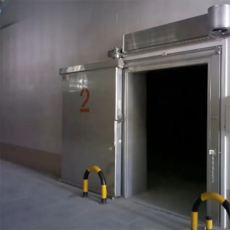 Customized sliding or hinged cold storage doors for industrial freezers and cold storage