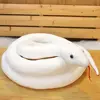 Serpente