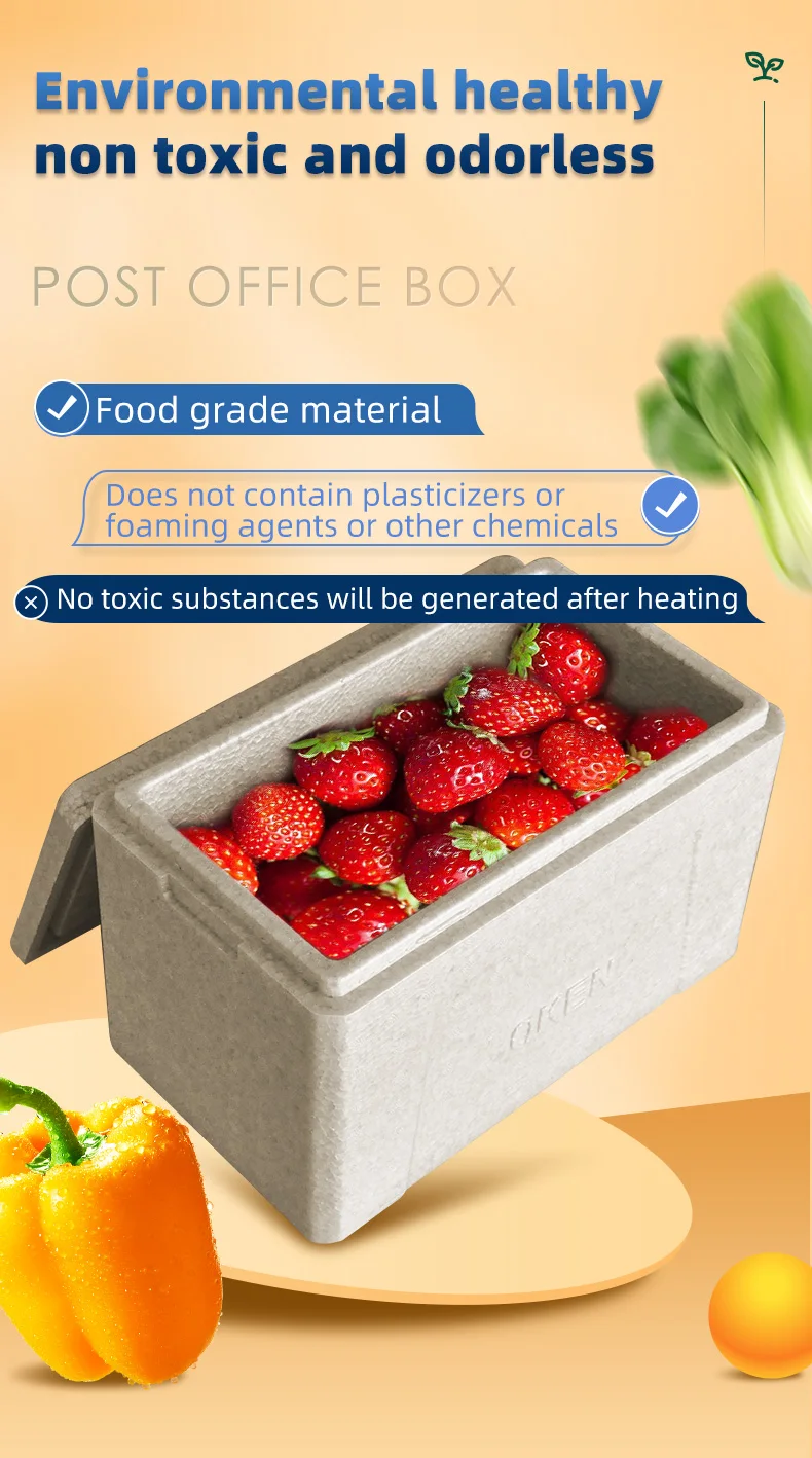 Black New Design Food Preservation Biodegradable Epp Foam Cooler Box
