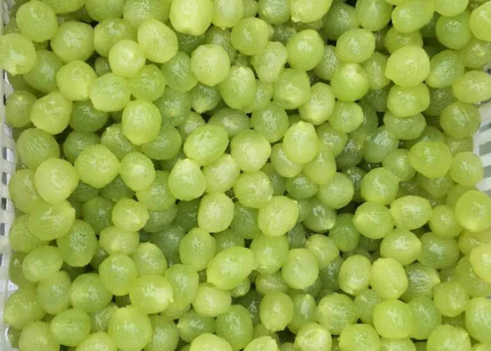 Frozen Green Grape Peeled for Juice or Jam  New Season Fresh Grapes Orange Bulk Packaging