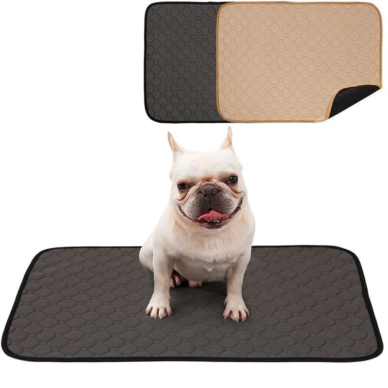 pee pad training