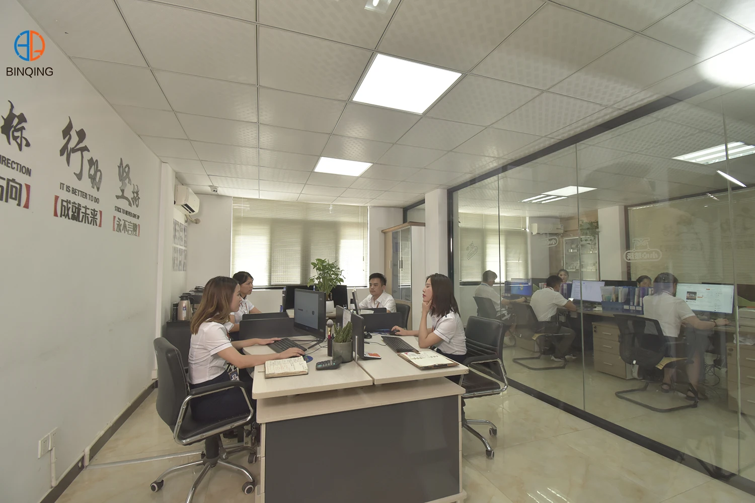 Jiangxi Binqing Import And Export Trading Co., Ltd.