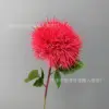 ดอกแดนดิไลออนเดี่ยว - สีแดงกุหลาบ