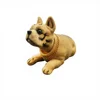 Chien boxeur