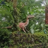 as picture