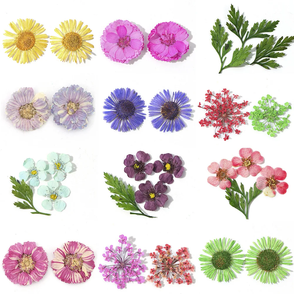 manicures clipart flowers