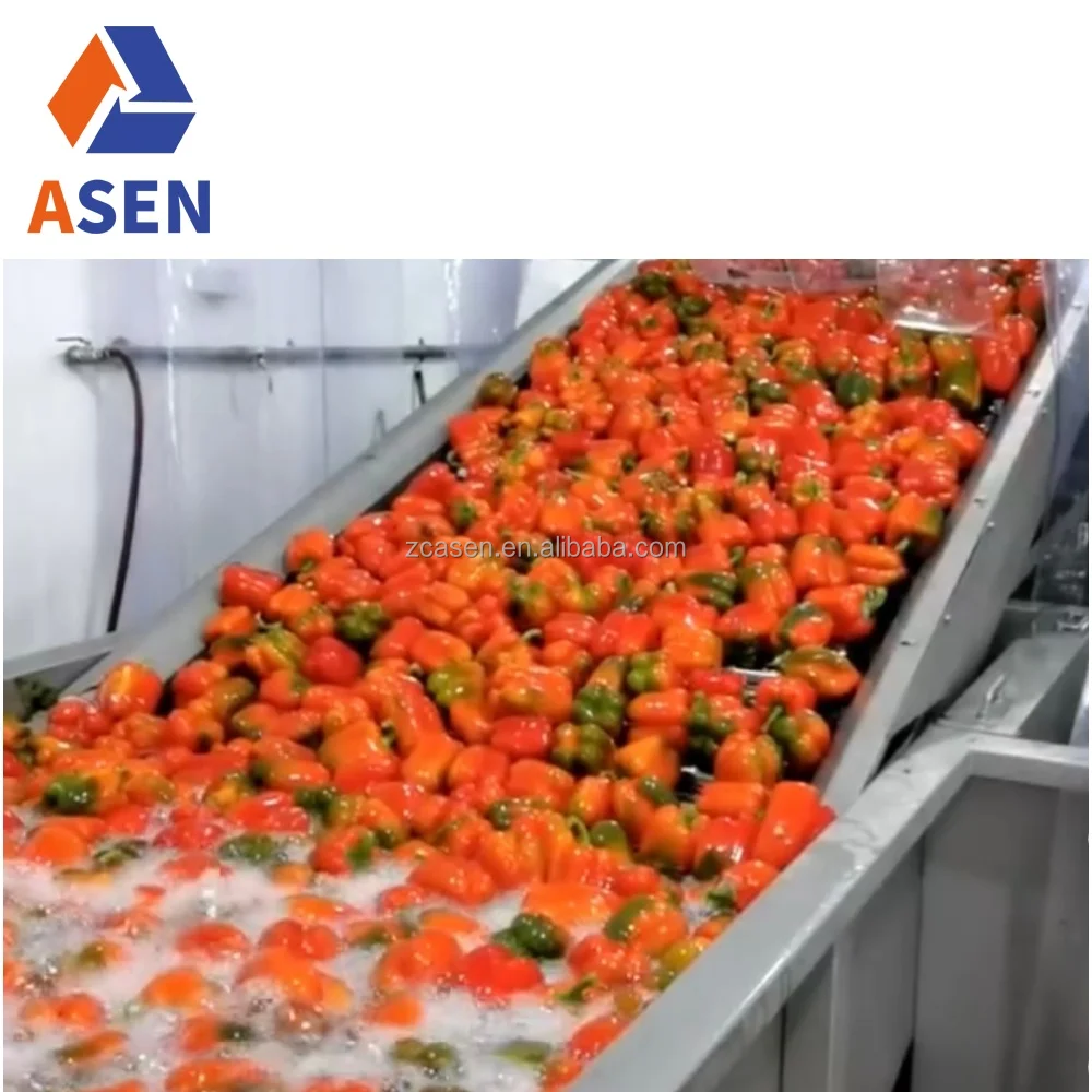 Ginger Cucumber Tomato Fruit Washing Machine Sorting Processing Line Vegetable Cleaning Equipment