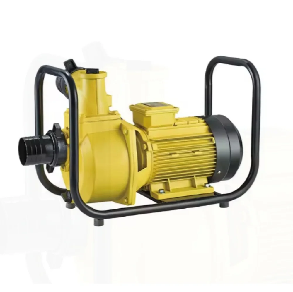 OEM ODM 2200W 3HP DC Large Flow Solar Self-Priming Solar Surface Water Pump for Agricultural Irrigation