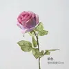 Princess diana rose purple-one piece