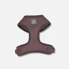 Marron foncé