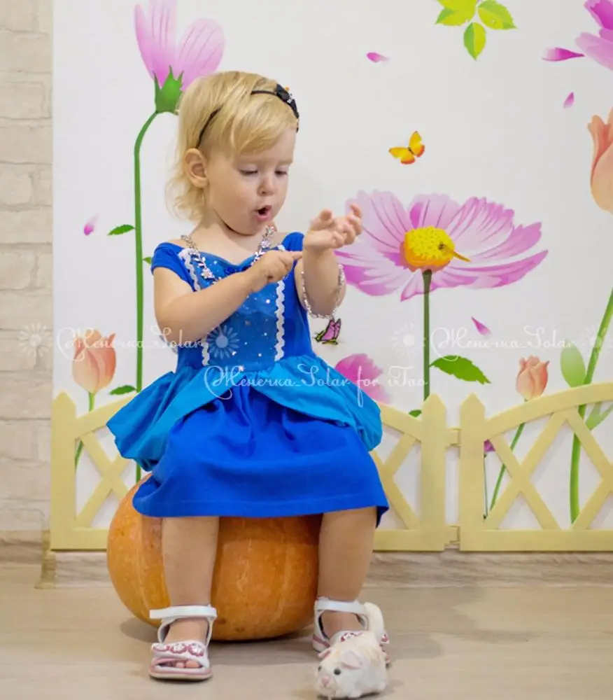 Girls Child Disney Princess Cinderella Fairy Tale Dress Costume Outfit 