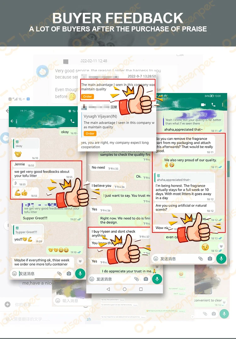 Haisen Manufacturer Oem Premium Easy Clean Plant Cat Sand Milk Scent 6l