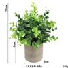Large eucalyptus powder-free ahe368-069
