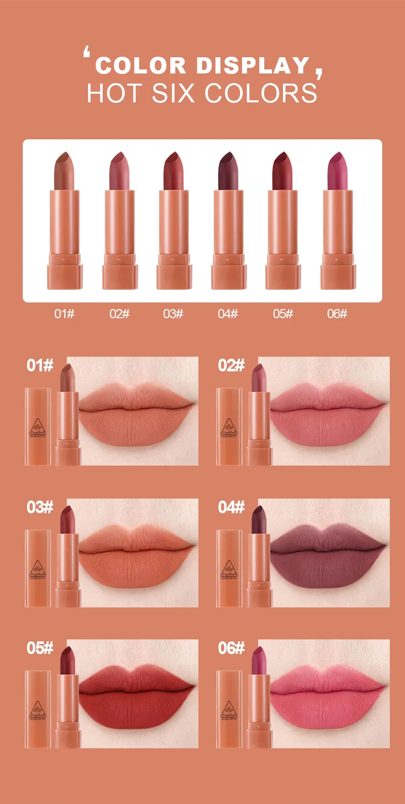 Dragonranee ODM Mini Cute Lipstick Sample Set 6 Vegan Nude Matte Lipsticks and Lip Gloss Lasting Pencil Form Box Packaging