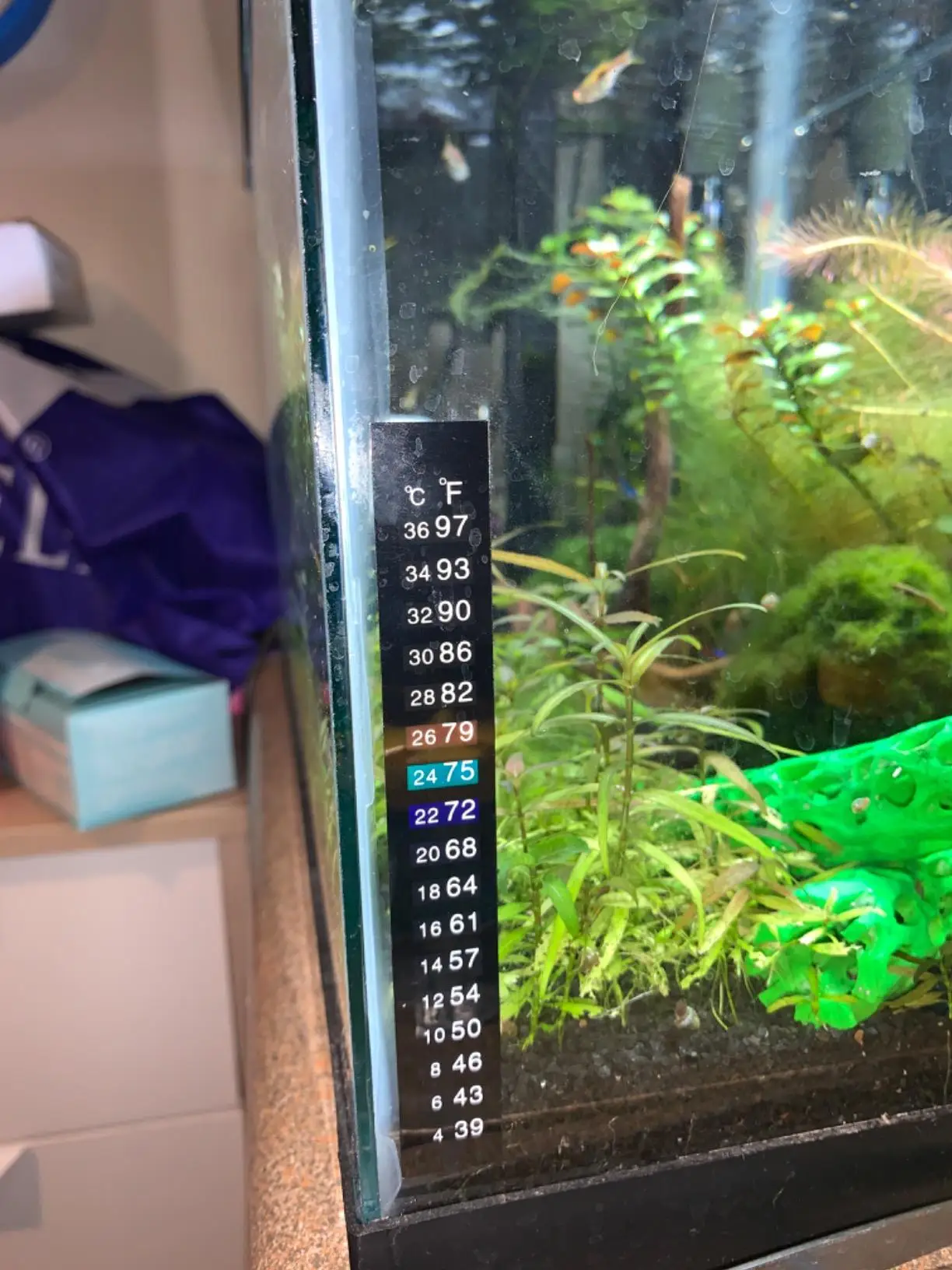 Color Changing Terrarium Temperature Sensitive Indicator Sticker Strip ...