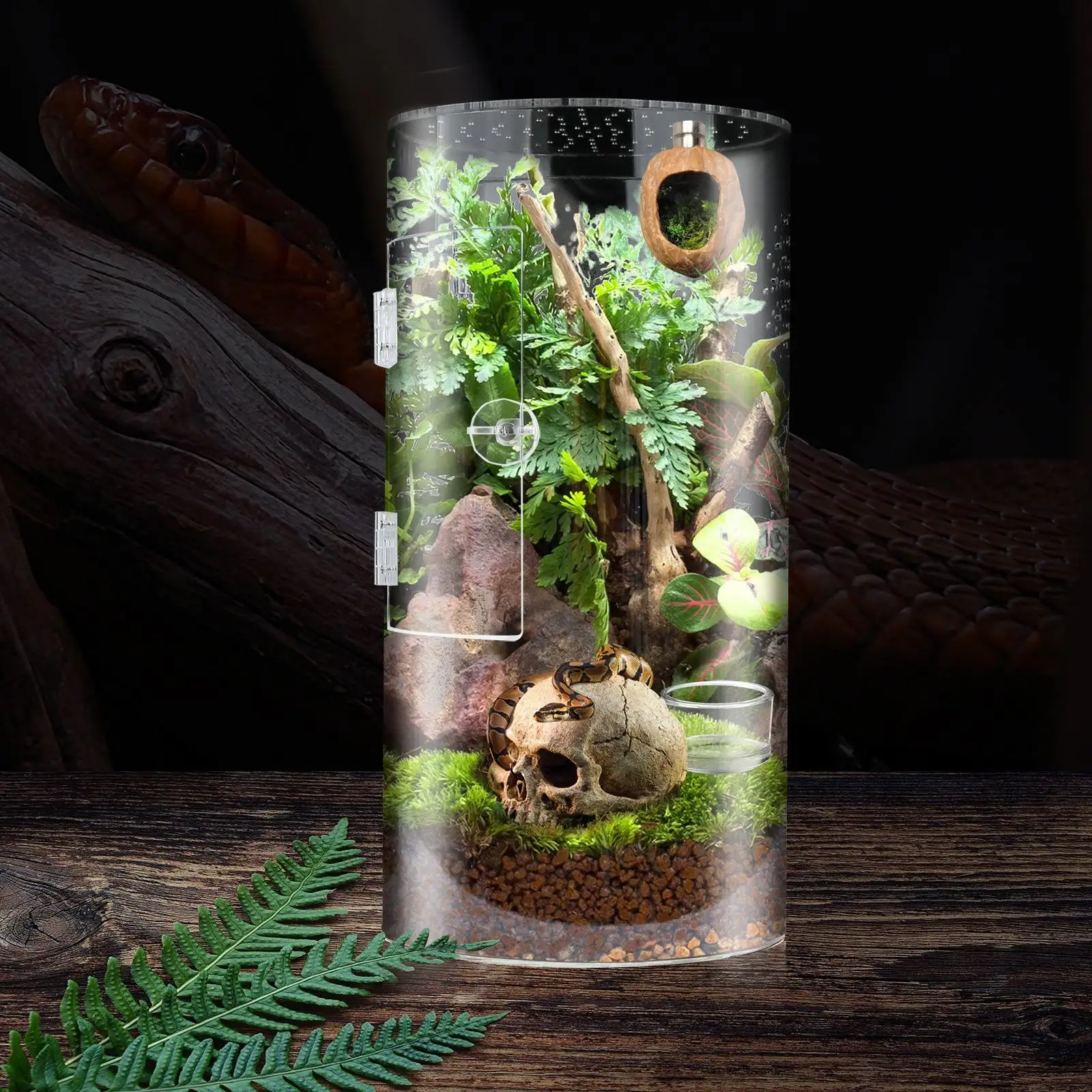 Futternapf & Trinkschale Für Reptilien | Kleine Futterschale Aus Kristallglas, 5,5 & 9,5 Cm