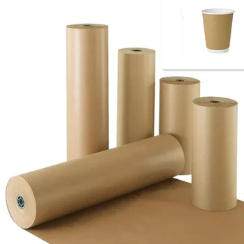 Custom Food Grade Grease Proof White Pla Coated Paper Roll Single Double PE Coated Paper for Paper Cups
