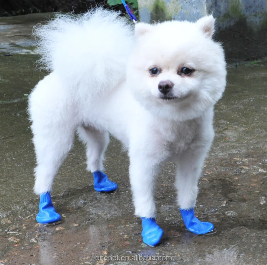 Rain Boots White Dog Shoes Pet Paw Protect Dog Rubber Balloon