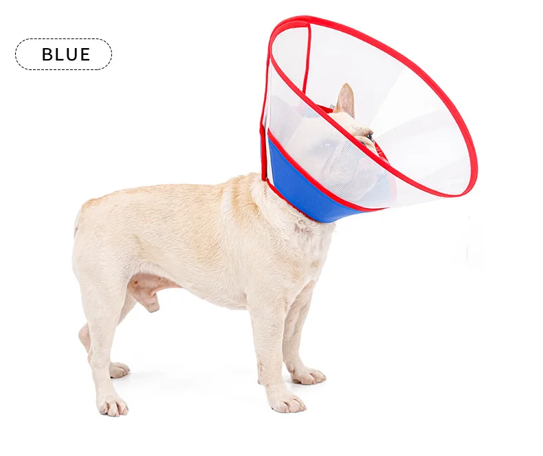 extra large dog cone