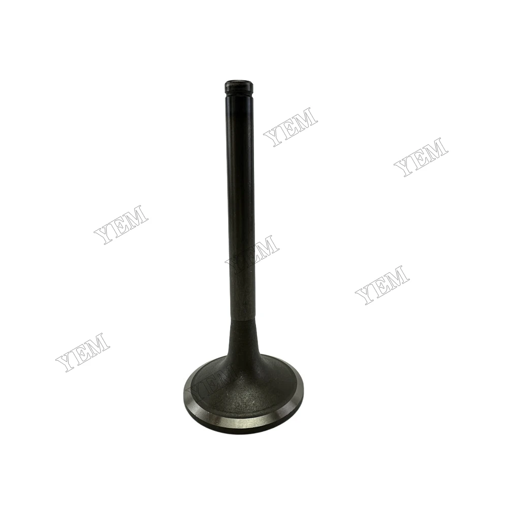 Intake Valve Fit for Doosan Develon DP158LD Engine 5