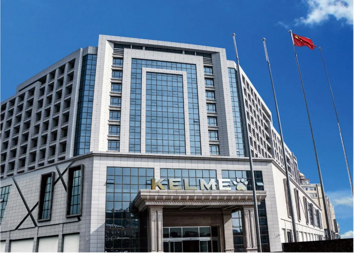 the kelme main building.png