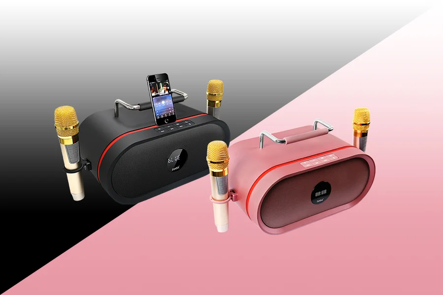 RHM RM-K666 Portable BT Hifi Karaoke Speaker - High Quality