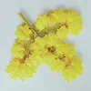 amarillo 2