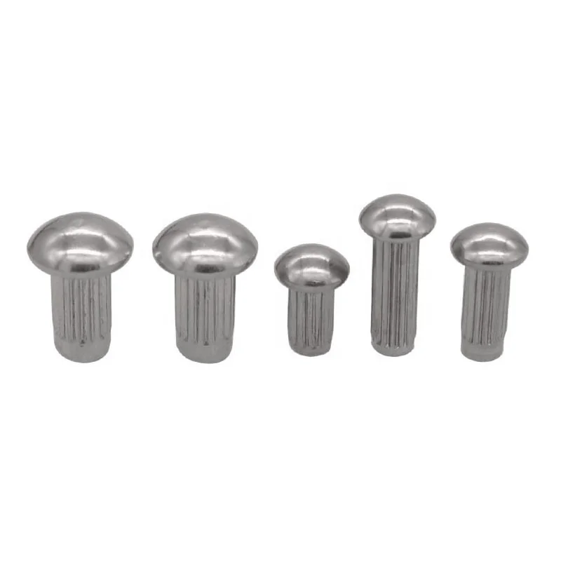 Round Head Rivet Kit – 250Pcs Stainless Steel Solid Rivets, Knurled Shank, Assorted Sizes For Nameplates & Product Labels
