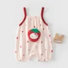 Strawberry cat