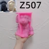 Z507