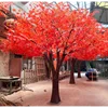 árbol de arce rojo