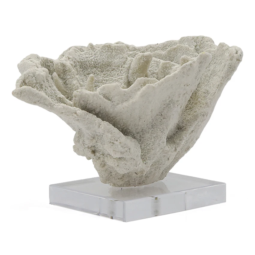 Artificial Resin Coral Ornament white Coral with acrylic base Tabletop Decor