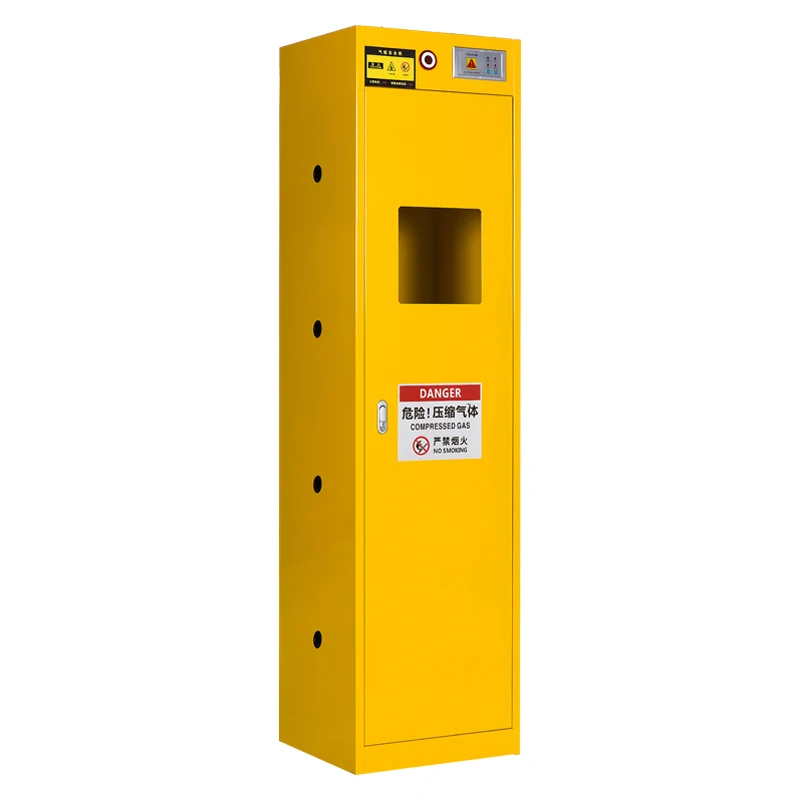 Physics Chemical Lab Equipment Two Bottles Gas Cylinder Steel Storage Cabinet Lab Special Gas Cylinder Cabinet