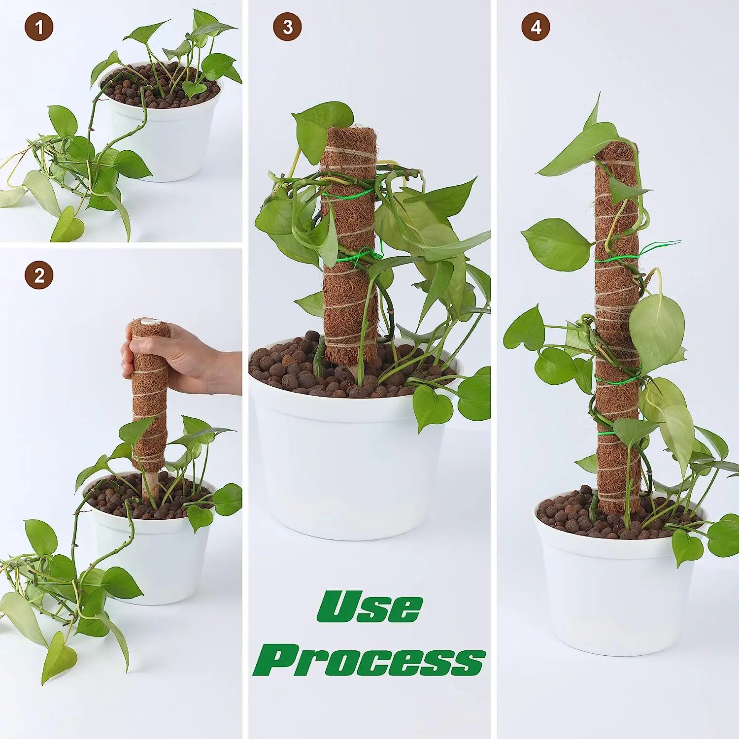 Moss Pole Extending for Plants Monstera 17" Support Stakes