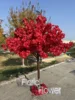 Arche fleurie arbre 7