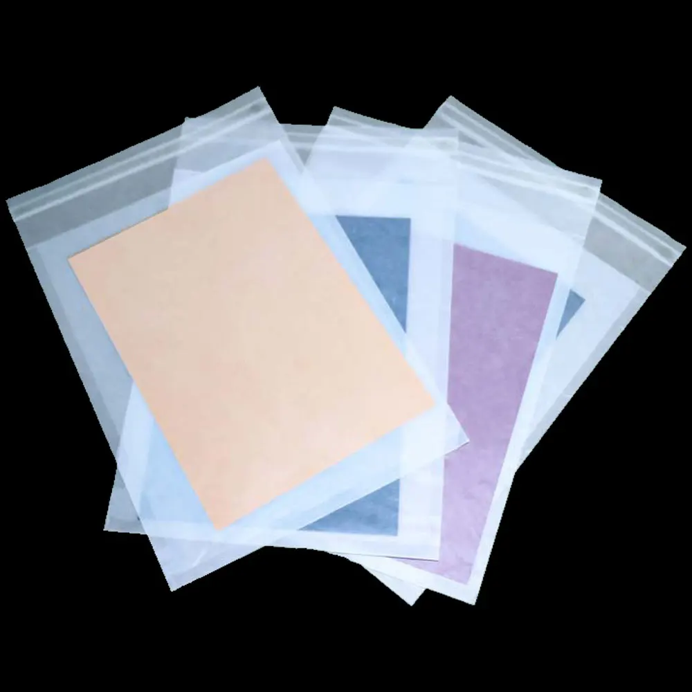 Fsc Certificate Ecofriendly Garment Packaging Paper Bag For Clothing