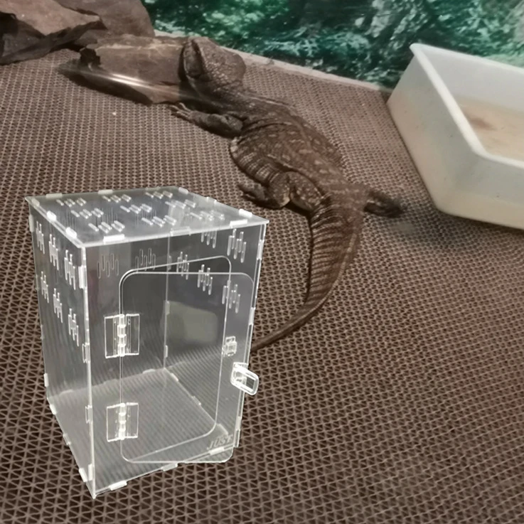 Clear Acrylic Climbing Pet Plexiglass Feeding Box Rectangle House