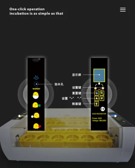 Nade full automatic mini chicken eggs incubator YZ-24S 24 egg incubators hatching eggs