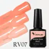 RV07