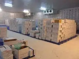 Филе пангасиус-топовый экспортный продукт для морепродуктов из Вьетнама 2022