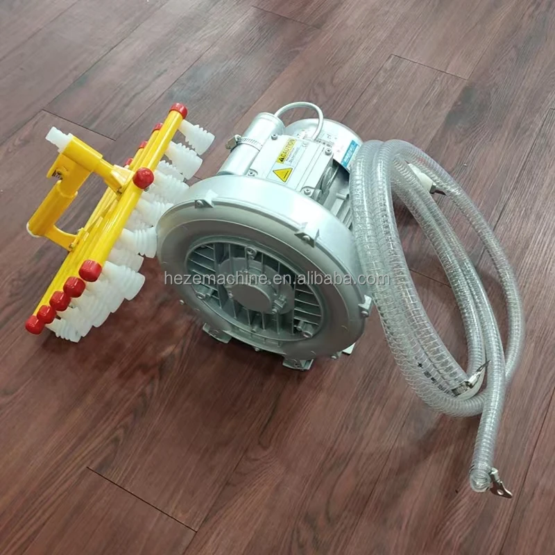 イン卵様 イン卵様 卵シリーズ (ゆるして)とは【ピクシブ百科事典】