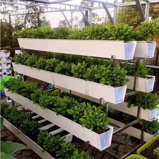 Nft Gutter System Hydroponics Strawberry Gutter Greenhouse Indoor Strawberry Production