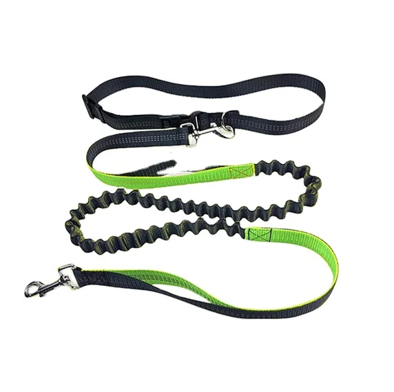 retractable rope dog leash