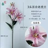 Orquídea tigre de 3 cabezas, violeta claro